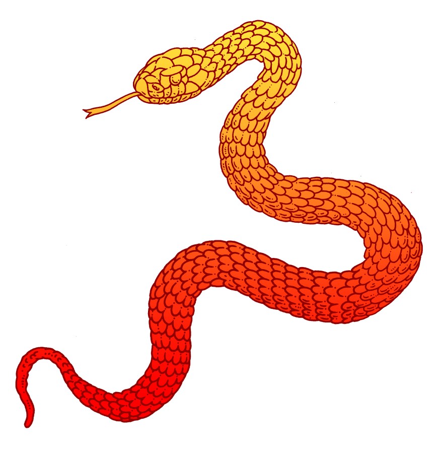 Mental Shapeshifting