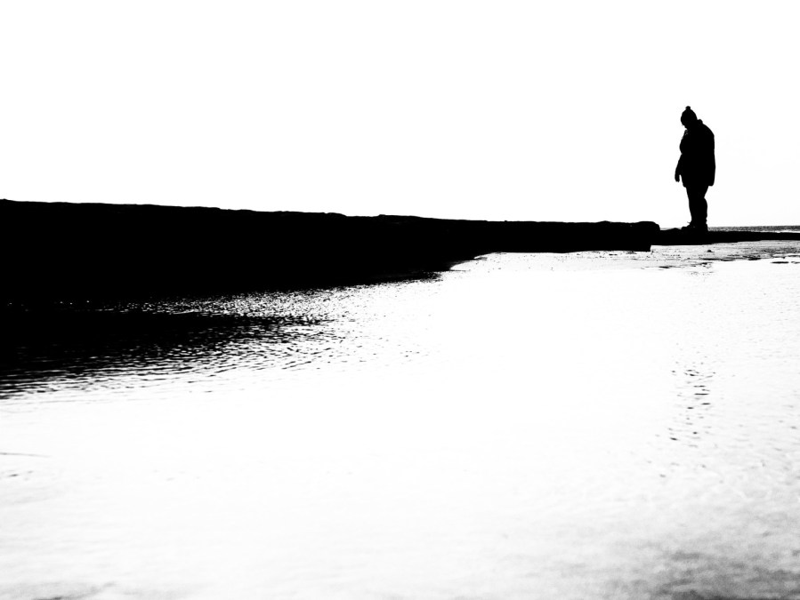 Emotional Support Poem